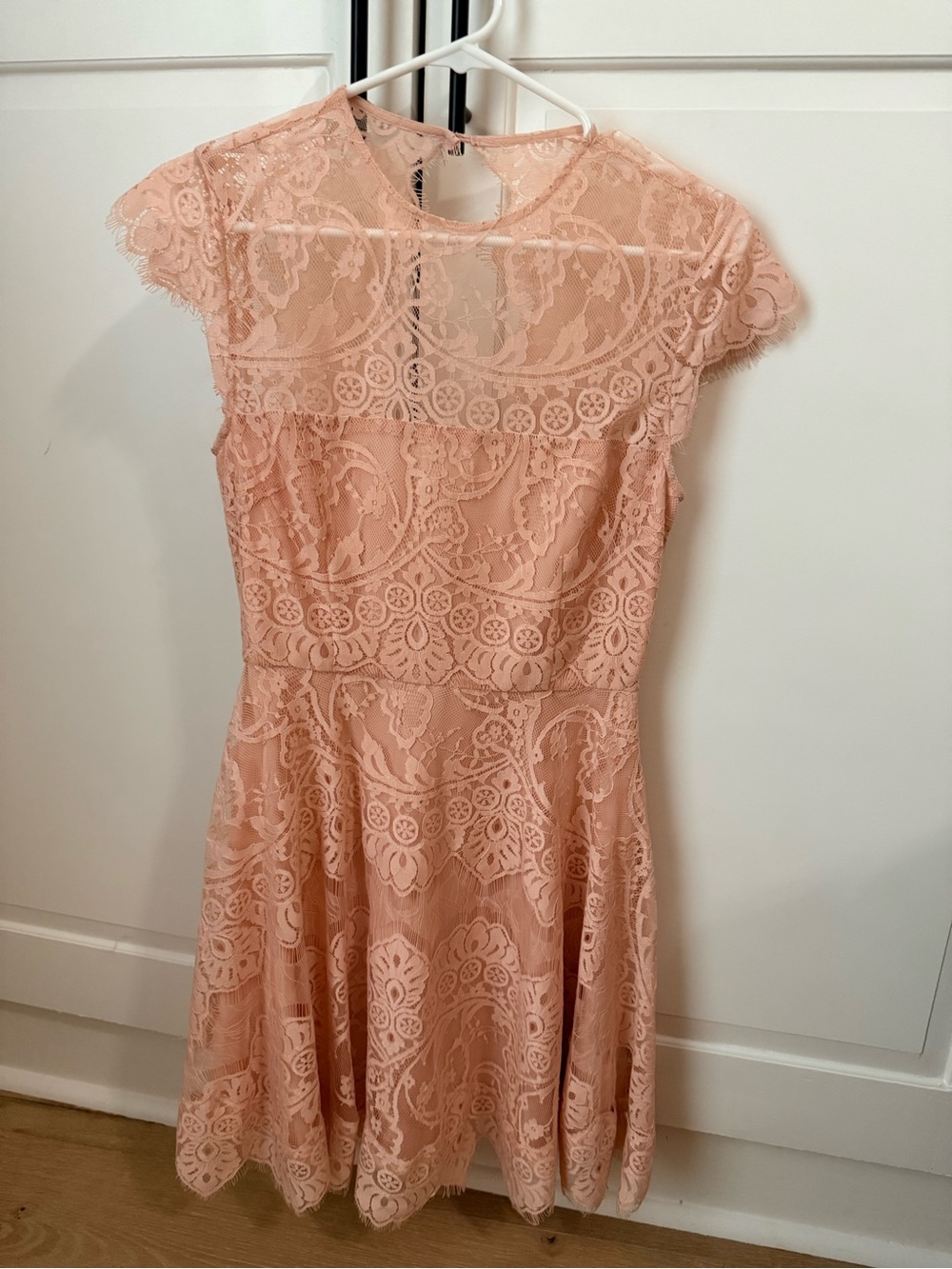 BB Dakota Blush Pink Lace Mini Dress